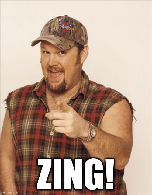 Larry The Cable Guy | ZING! | image tagged in larry the cable guy | made w/ Imgflip meme maker