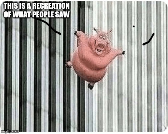 Pig jumping off | THIS IS A RECREATION OF WHAT PEOPLE SAW | image tagged in pig jumping off | made w/ Imgflip meme maker