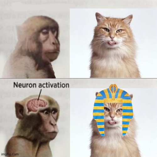 If you know you know | image tagged in neuron activated,animal crossing | made w/ Imgflip meme maker