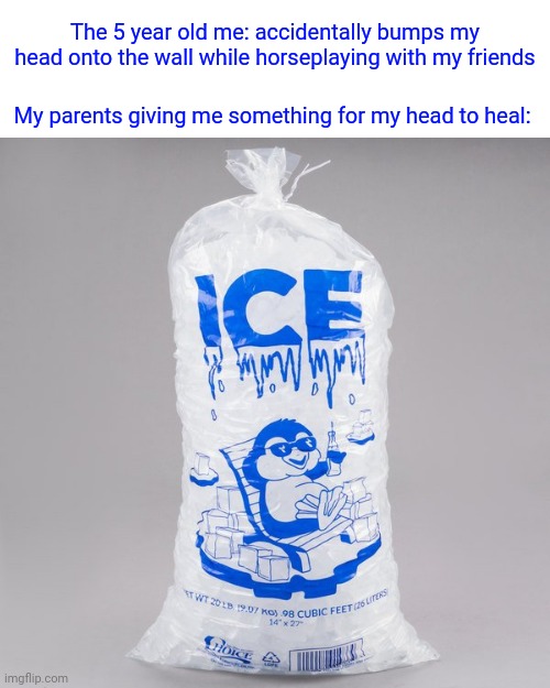 Painful bump on my head | The 5 year old me: accidentally bumps my head onto the wall while horseplaying with my friends; My parents giving me something for my head to heal: | image tagged in bag of ice,blank white template,memes,funny,meme,friends | made w/ Imgflip meme maker