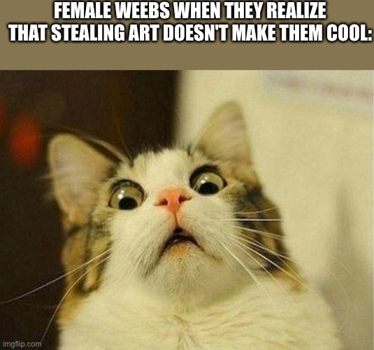 Scared Cat Meme | FEMALE WEEBS WHEN THEY REALIZE THAT STEALING ART DOESN'T MAKE THEM COOL: | image tagged in memes,scared cat | made w/ Imgflip meme maker