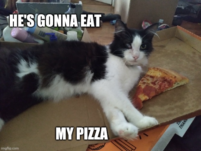 HE'S GONNA EAT MY PIZZA | made w/ Imgflip meme maker