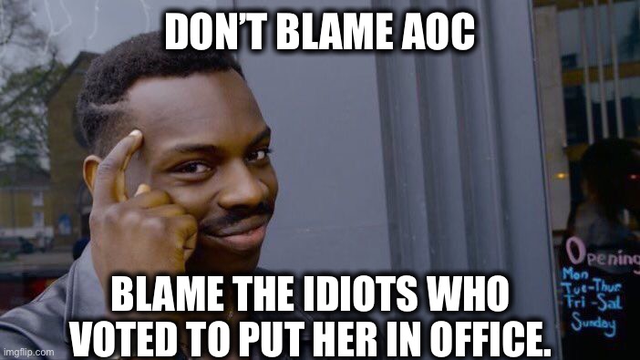 Roll Safe Think About It Meme | DON’T BLAME AOC BLAME THE IDIOTS WHO VOTED TO PUT HER IN OFFICE. | image tagged in memes,roll safe think about it | made w/ Imgflip meme maker