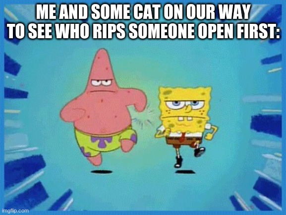 ILL BE THE FIRST ONE | ME AND SOME CAT ON OUR WAY TO SEE WHO RIPS SOMEONE OPEN FIRST: | made w/ Imgflip meme maker