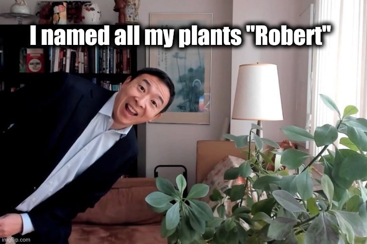 . . . and a Black Dog named "Bonzo" | I named all my plants "Robert" | image tagged in andrew yang and his house plants,led zeppelin,average fan vs average enjoyer,classic rock,rampage | made w/ Imgflip meme maker