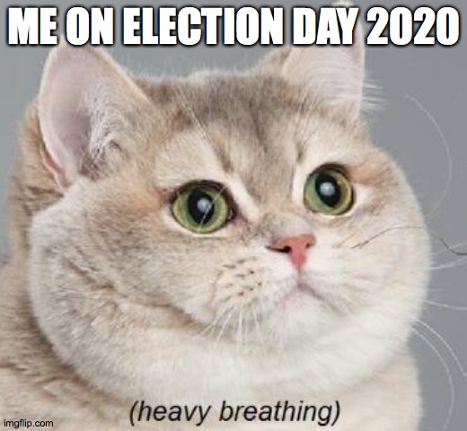 Heavy Breathing Cat | ME ON ELECTION DAY 2020 | image tagged in memes,heavy breathing cat | made w/ Imgflip meme maker