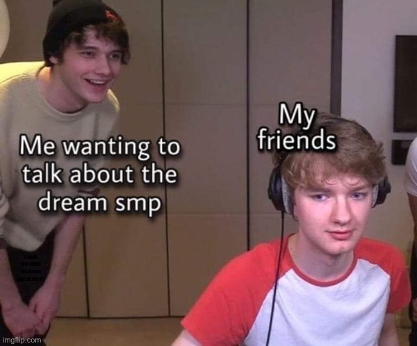 Really tho | I could rant about the dream smp all day lol | image tagged in wilbur soot,tommyinnit | made w/ Imgflip meme maker