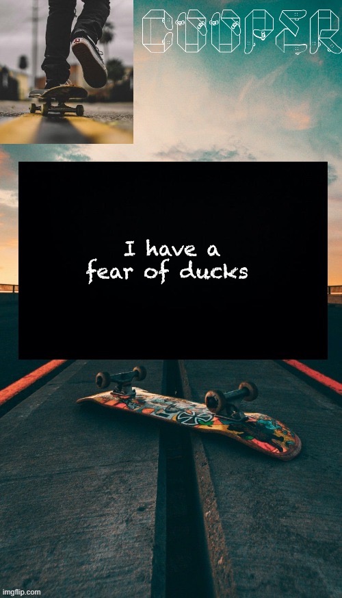 Skateboard temp | I have a fear of ducks | image tagged in skateboard temp | made w/ Imgflip meme maker