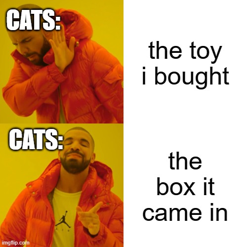 Drake Hotline Bling | CATS:; the toy i bought; CATS:; the box it came in | image tagged in memes,drake hotline bling | made w/ Imgflip meme maker