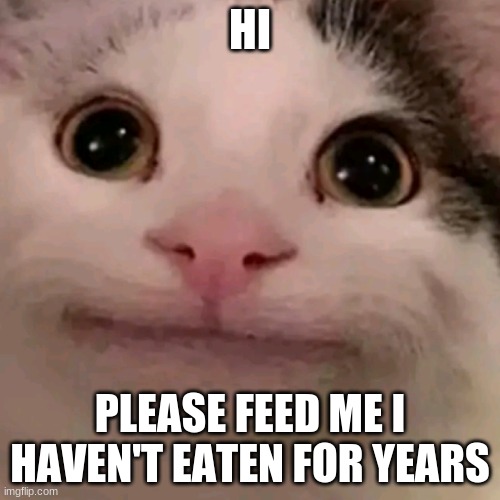 poor beluga | HI; PLEASE FEED ME I HAVEN'T EATEN FOR YEARS | image tagged in beluga | made w/ Imgflip meme maker
