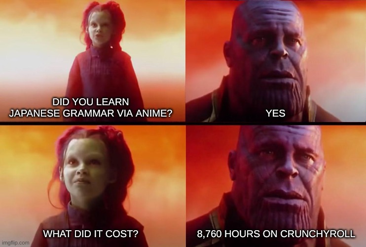 I'm actually starting to pick it up | DID YOU LEARN JAPANESE GRAMMAR VIA ANIME? YES; WHAT DID IT COST? 8,760 HOURS ON CRUNCHYROLL | image tagged in thanos what did it cost,anime | made w/ Imgflip meme maker