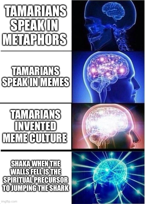 tamemeians | TAMARIANS SPEAK IN 
METAPHORS; TAMARIANS SPEAK IN MEMES; TAMARIANS INVENTED MEME CULTURE; SHAKA WHEN THE WALLS FELL IS THE SPIRITUAL PRECURSOR TO JUMPING THE SHARK | image tagged in memes,expanding brain,star trek,star trek tng | made w/ Imgflip meme maker