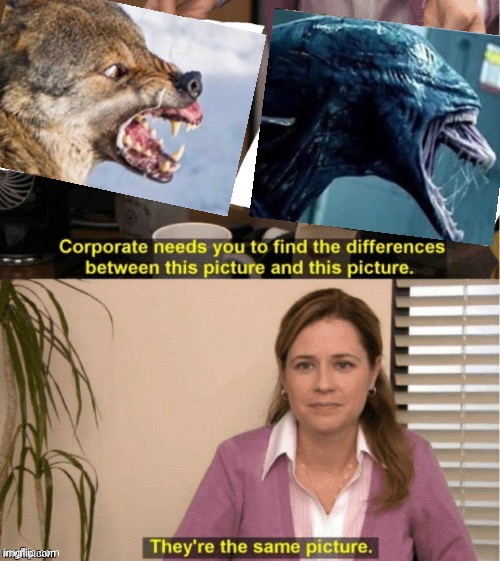 They’re the same thing | image tagged in they re the same thing | made w/ Imgflip meme maker