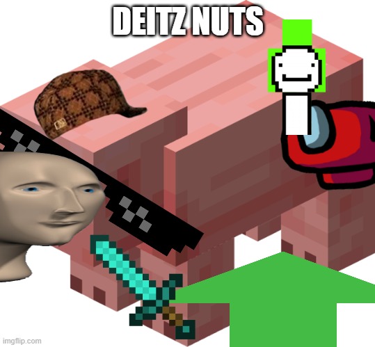  DEITZ NUTS | image tagged in confederate flag | made w/ Imgflip meme maker