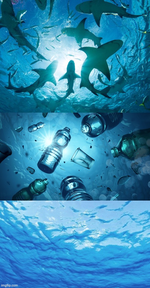image tagged in sharks,pollution,ocean,plastic | made w/ Imgflip meme maker