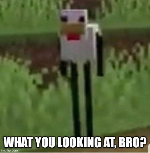 Cursed Minecraft chicken | WHAT YOU LOOKING AT, BRO? | image tagged in cursed minecraft chicken | made w/ Imgflip meme maker