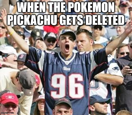 Sports Fans | WHEN THE POKEMON PICKACHU GETS DELETED | image tagged in sports fans | made w/ Imgflip meme maker