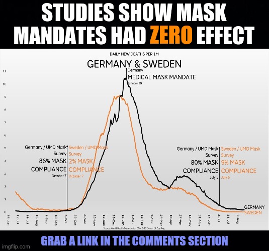 Studies Show Mask Mandates Had Zero Effect | STUDIES SHOW MASK MANDATES HAD ZERO EFFECT; ZERO; GRAB A LINK IN THE COMMENTS SECTION | image tagged in masks,mandates,covid-19,covid,covid 19 | made w/ Imgflip meme maker