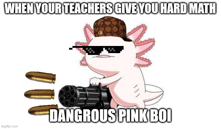 Axolotl gun | WHEN YOUR TEACHERS GIVE YOU HARD MATH; DANGROUS PINK BOI | image tagged in axolotl gun | made w/ Imgflip meme maker