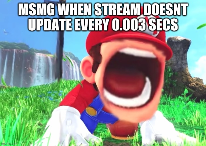 Mario screaming | MSMG WHEN STREAM DOESNT UPDATE EVERY 0.003 SECS | image tagged in mario screaming | made w/ Imgflip meme maker