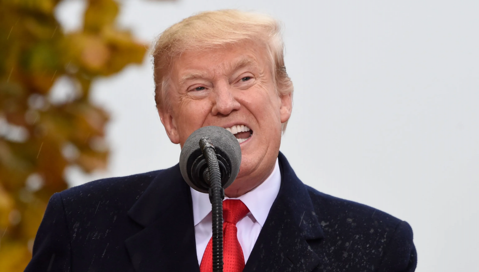 High Quality Trump snarl teeth ugly Blank Meme Template