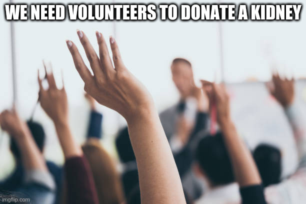 bueller? |  WE NEED VOLUNTEERS TO DONATE A KIDNEY | image tagged in hands up | made w/ Imgflip meme maker