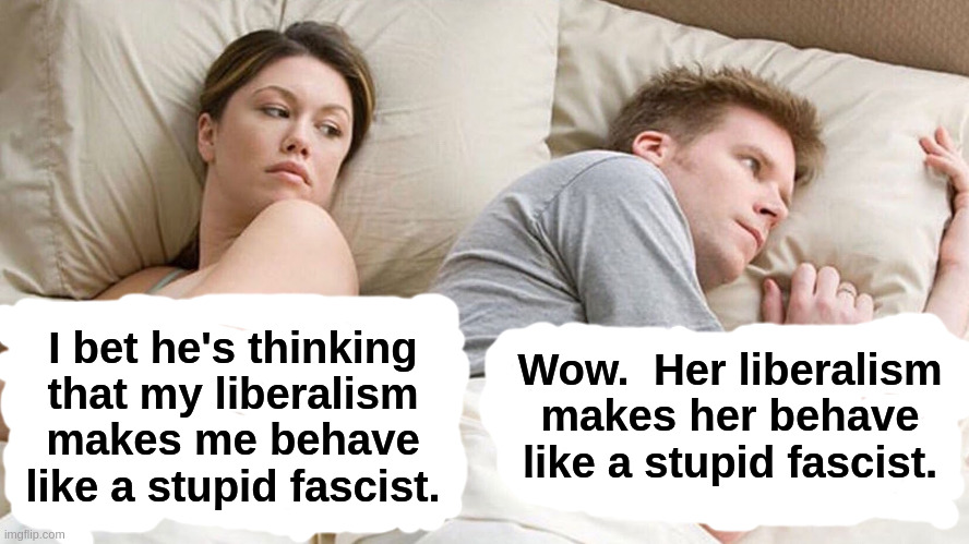 Sometimes You Get It Right | Wow.  Her liberalism
makes her behave
like a stupid fascist. I bet he's thinking
that my liberalism
makes me behave
like a stupid fascist. | image tagged in liberals,stupid,fascist,couple in bed,democrats | made w/ Imgflip meme maker