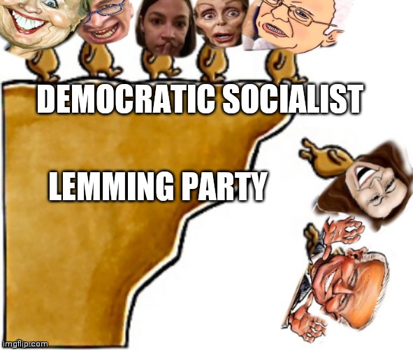DEMOCRATIC SOCIALIST; LEMMING PARTY | made w/ Imgflip meme maker
