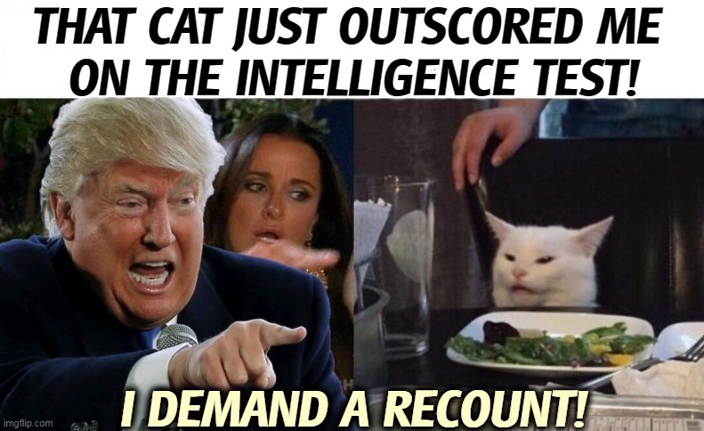 Heck, any cat can do that. | THAT CAT JUST OUTSCORED ME 
ON THE INTELLIGENCE TEST! I DEMAND A RECOUNT! | image tagged in trump yelling at cat,trump,dumb,cat,smart | made w/ Imgflip meme maker