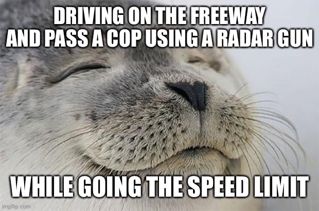 As someone who used to speed | DRIVING ON THE FREEWAY AND PASS A COP USING A RADAR GUN; WHILE GOING THE SPEED LIMIT | image tagged in memes,satisfied seal | made w/ Imgflip meme maker