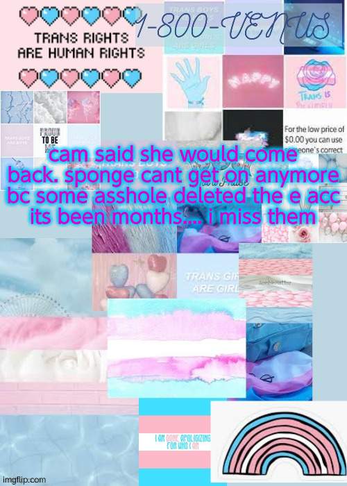 venus's trans temp (ty gummy) | cam said she would come back. sponge cant get on anymore bc some asshole deleted the e acc
its been months.... i miss them | image tagged in venus's trans temp ty gummy | made w/ Imgflip meme maker