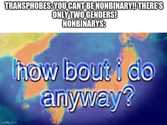 HOW ABOUT I DO ANYWAY? |  TRANSPHOBES: YOU CANT BE NONBINARY!! THERE'S
 ONLY TWO GENDERS!
NONBINARYS: | made w/ Imgflip meme maker