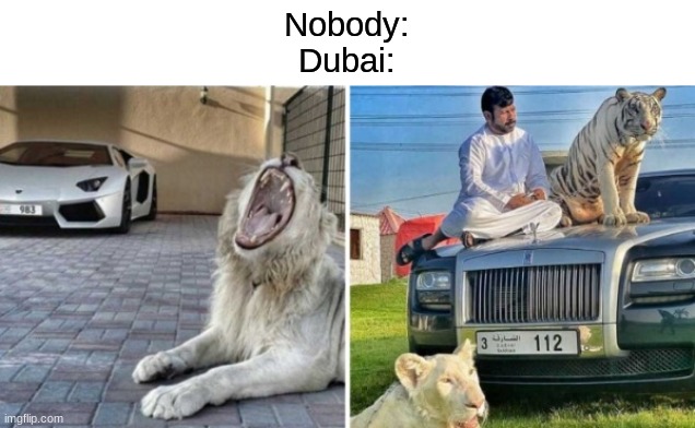 Nobody:
Dubai: | made w/ Imgflip meme maker