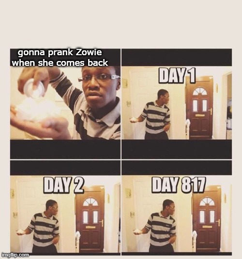 Zowie | gonna prank Zowie when she comes back | image tagged in gonna prank x when he/she gets home | made w/ Imgflip meme maker