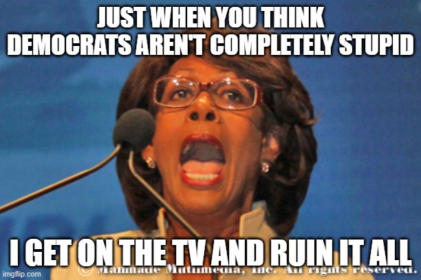 Maxine waters | JUST WHEN YOU THINK DEMOCRATS AREN'T COMPLETELY STUPID; I GET ON THE TV AND RUIN IT ALL | image tagged in maxine waters | made w/ Imgflip meme maker