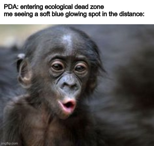 I went there with a cyclops on accident and saw a ghost leviathan moving towards me. scariest moment of my life. | PDA: entering ecological dead zone
me seeing a soft blue glowing spot in the distance: | image tagged in ooooh monkey | made w/ Imgflip meme maker