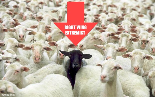 black sheep | RIGHT WING
EXTREMIST | image tagged in black sheep | made w/ Imgflip meme maker