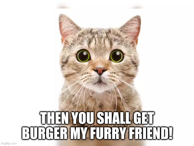 THEN YOU SHALL GET BURGER MY FURRY FRIEND! | made w/ Imgflip meme maker