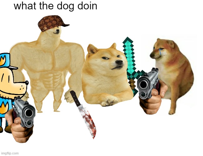 dogs | what the dog doin | image tagged in doge,dogs,doggo | made w/ Imgflip meme maker