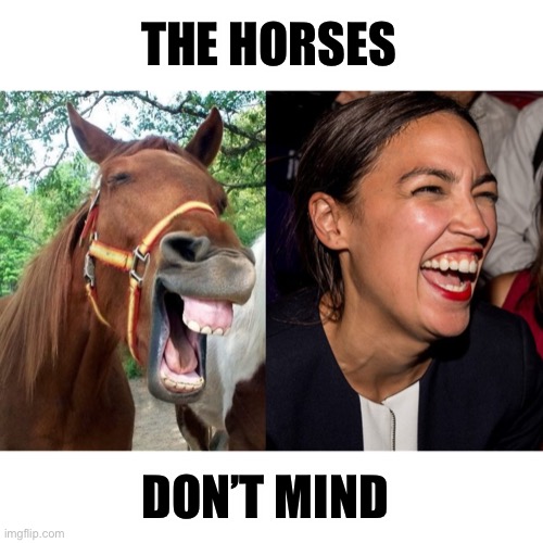 AOC horse face Alexandria Ocasio-Cortez | THE HORSES DON’T MIND | image tagged in aoc horse face alexandria ocasio-cortez | made w/ Imgflip meme maker