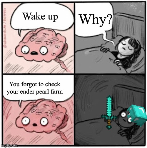 Brain Before Sleep | Why? Wake up; You forgot to check your ender pearl farm | image tagged in brain before sleep | made w/ Imgflip meme maker