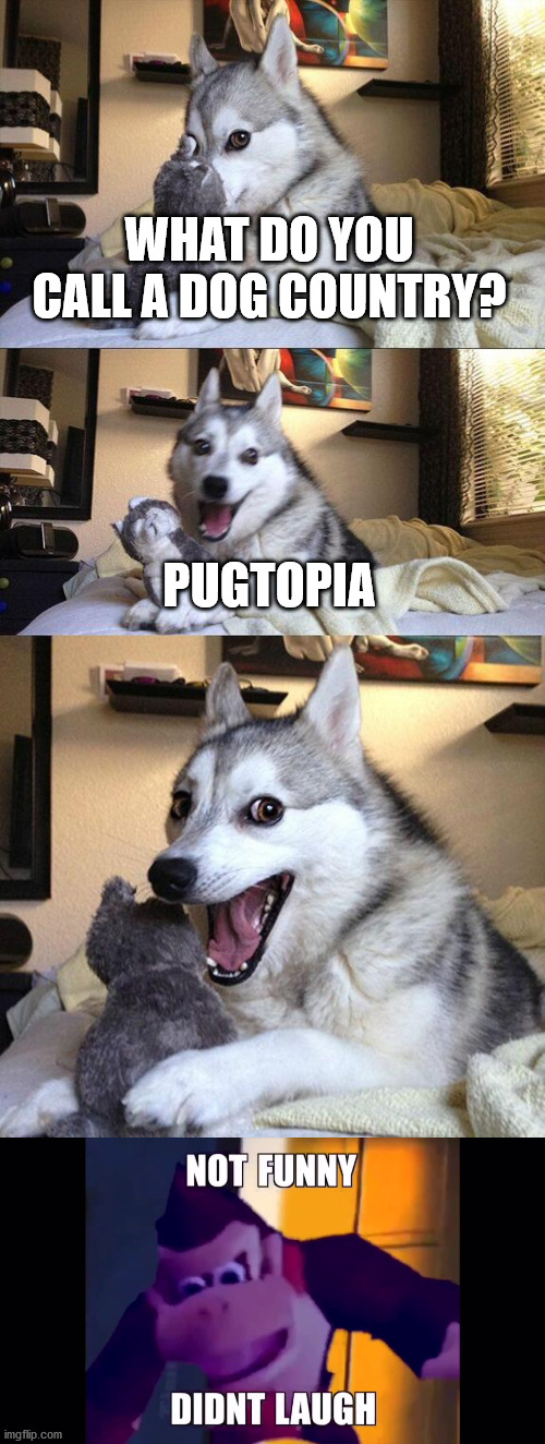 Not Funny Doggo | WHAT DO YOU CALL A DOG COUNTRY? PUGTOPIA | image tagged in memes,bad pun dog,not funny didn't laugh | made w/ Imgflip meme maker