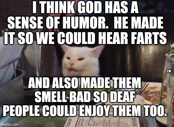Salad cat | I THINK GOD HAS A SENSE OF HUMOR.  HE MADE IT SO WE COULD HEAR FARTS; AND ALSO MADE THEM SMELL BAD SO DEAF PEOPLE COULD ENJOY THEM TOO. J M | image tagged in salad cat | made w/ Imgflip meme maker