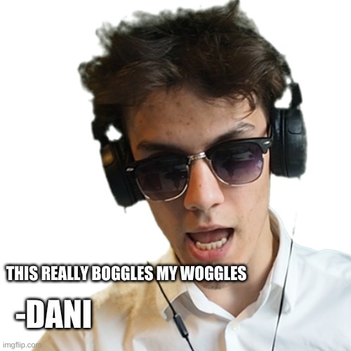 okay | THIS REALLY BOGGLES MY WOGGLES; -DANI | image tagged in funny | made w/ Imgflip meme maker