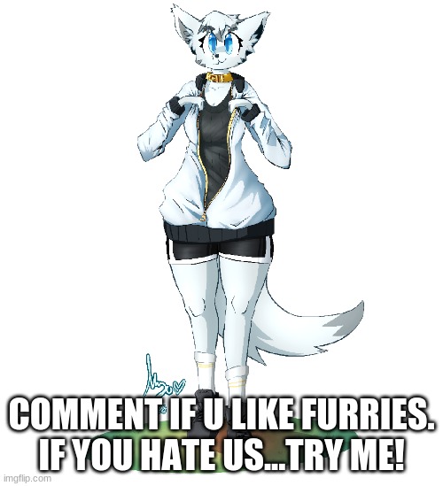 Comment if u like | COMMENT IF U LIKE FURRIES.
IF YOU HATE US...TRY ME! | image tagged in the furry fandom | made w/ Imgflip meme maker