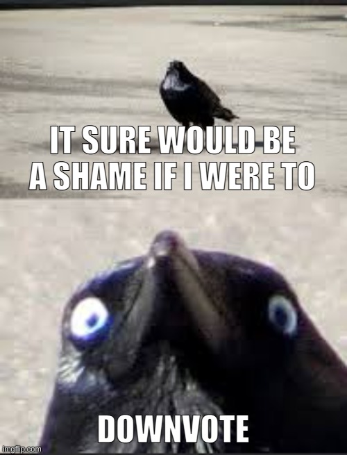 It would be a shame bird | IT SURE WOULD BE A SHAME IF I WERE TO DOWNVOTE | image tagged in it would be a shame bird | made w/ Imgflip meme maker