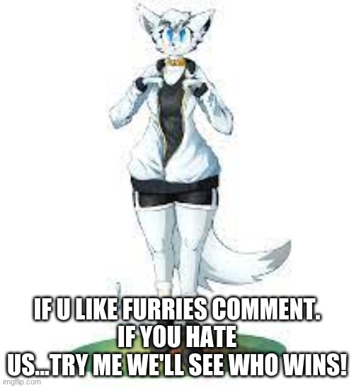 comment | IF U LIKE FURRIES COMMENT.
IF YOU HATE US...TRY ME WE'LL SEE WHO WINS! | image tagged in antarctica | made w/ Imgflip meme maker