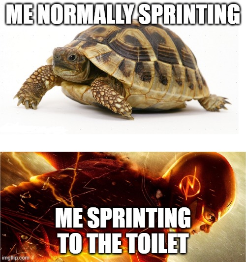 toiler | ME NORMALLY SPRINTING; ME SPRINTING TO THE TOILET | image tagged in slow vs fast meme,toilet | made w/ Imgflip meme maker