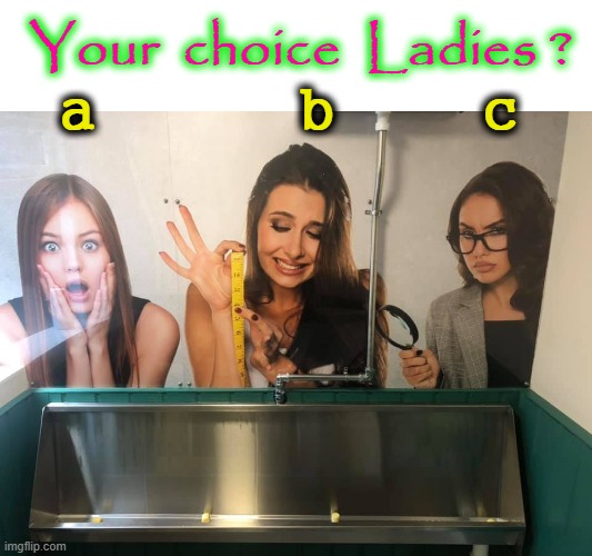 Your choice Ladies ? | Your  choice  Ladies ? a           b        c | image tagged in perspective | made w/ Imgflip meme maker