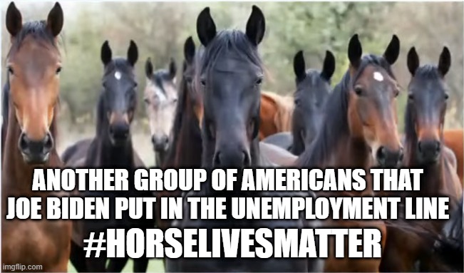 ANOTHER GROUP OF AMERICANS THAT
JOE BIDEN PUT IN THE UNEMPLOYMENT LINE; #HORSELIVESMATTER | made w/ Imgflip meme maker